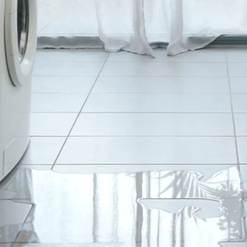 Appliance Leak Cleanup in Oakland, SC