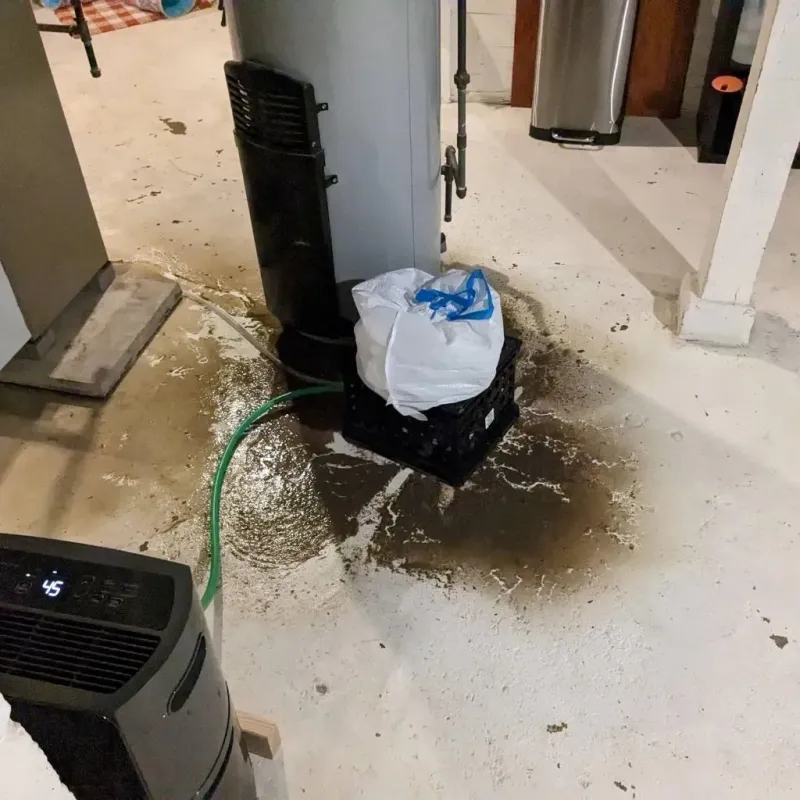 Sewage Backup Cleanup Service in Oakland, SC